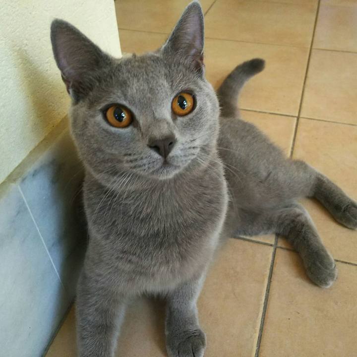 52a4b700 94a3 47ef b385 e5b4c7221c51