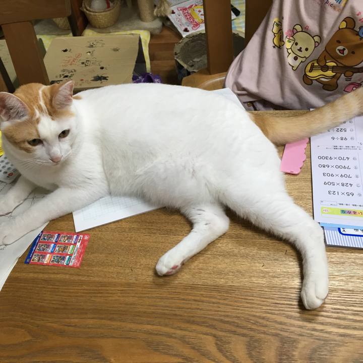 52a4d5d4 4bd0 41a4 881a f807cb9c7778