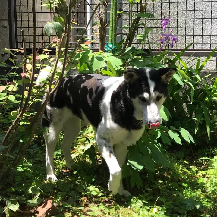 52a518ec 391d 4268 b222 efeb591bccd4