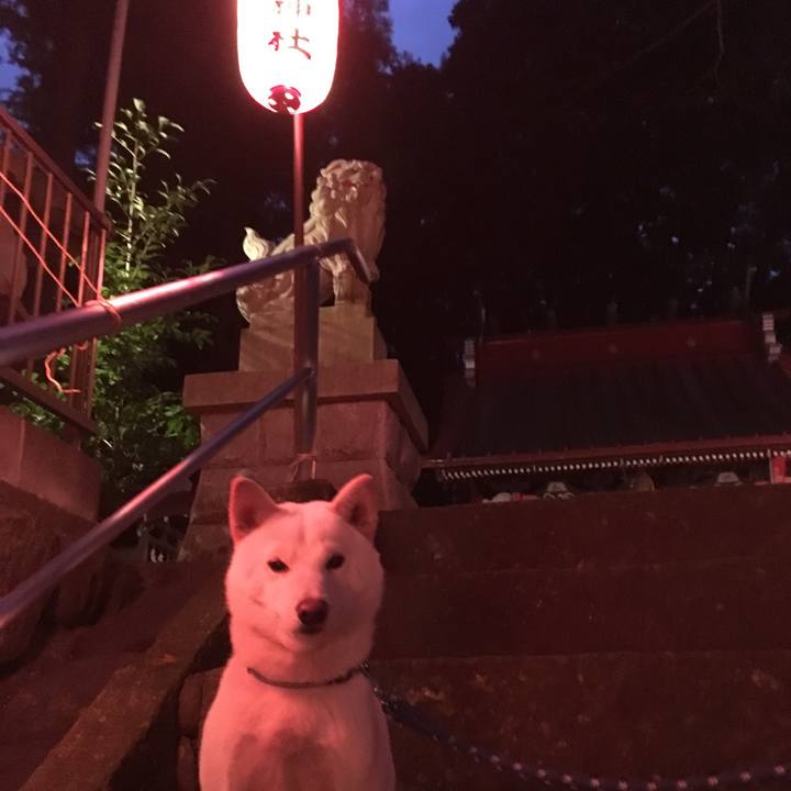 52a5b082 745f 4c08 8087 fb83b6bfa884