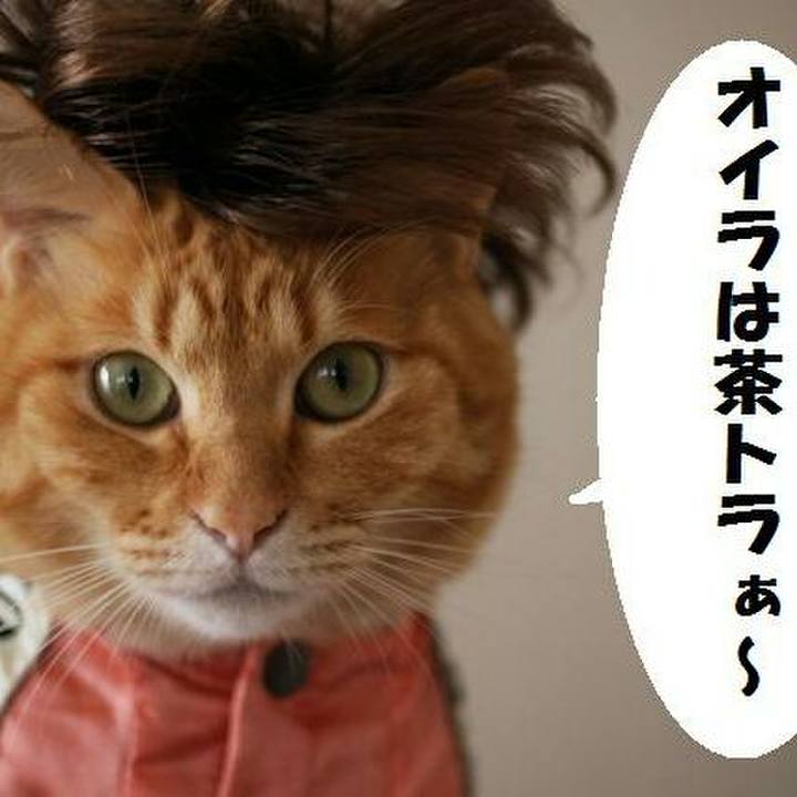 52a6058f 6792 47f7 a551 62bb92154862