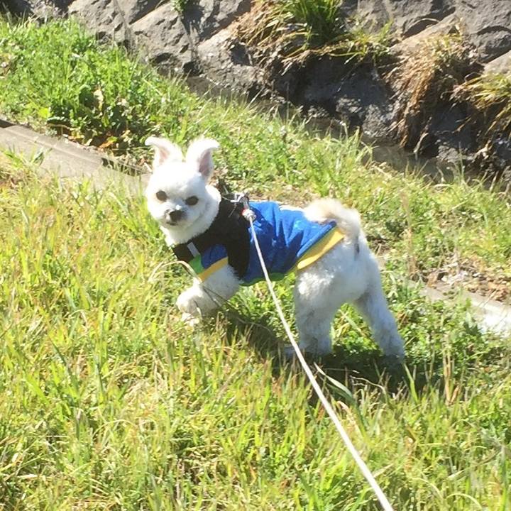 52a68b26 5707 4774 8753 b1a849c295b2