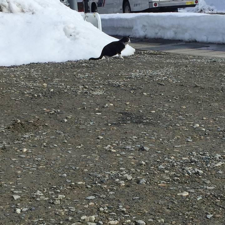 52a6c337 48e9 46f3 910f 3ec58860382b