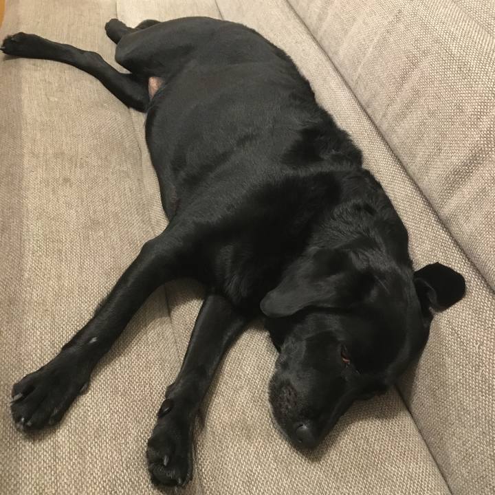 52a6ce39 02ef 4ec3 bad7 f5e5866e1df2