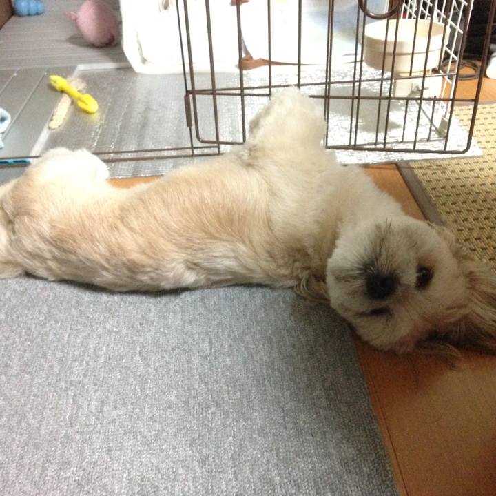 52a6e7db f890 4f54 a99d 56fd41cb7fbb