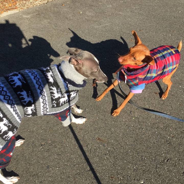 52a88b65 4881 43af afad 275ccf682076