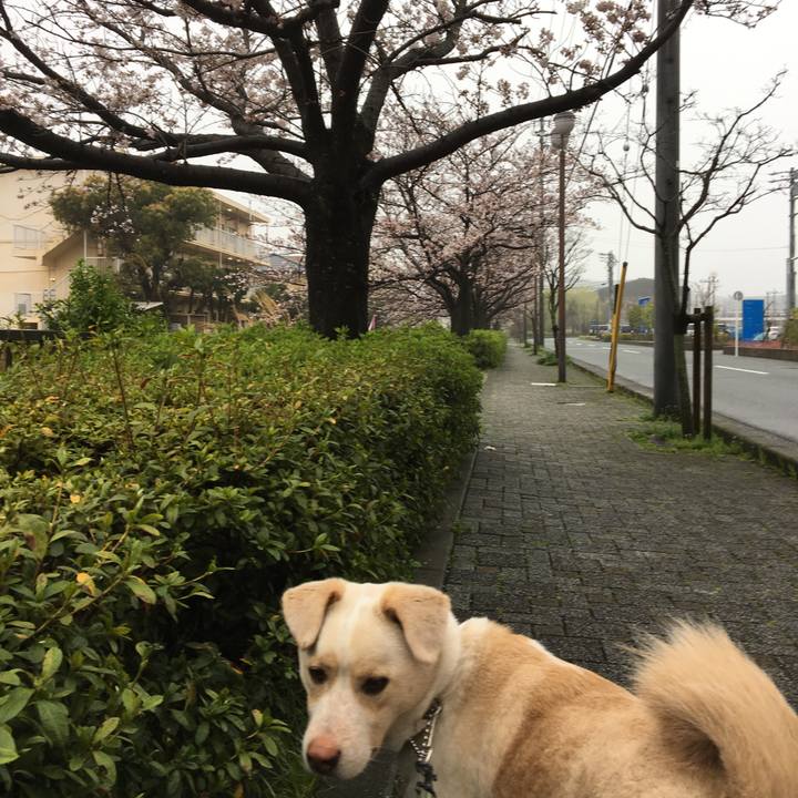 52a89a38 7de0 4a7c 964b b169b93632e2