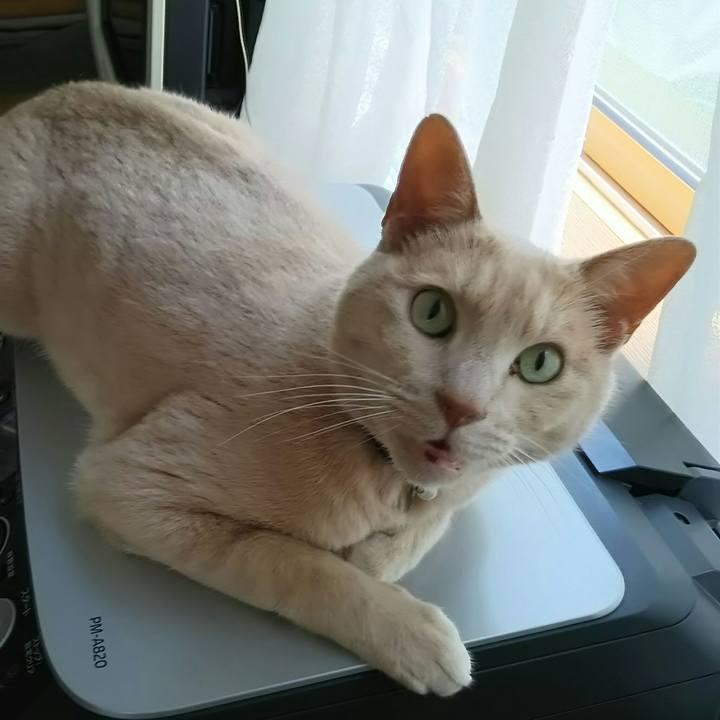 52a95cca 1c71 4807 a2bc b1510f8b8825