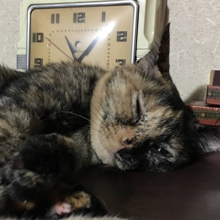 52a95e27 499e 47b6 9645 af83b8b443af