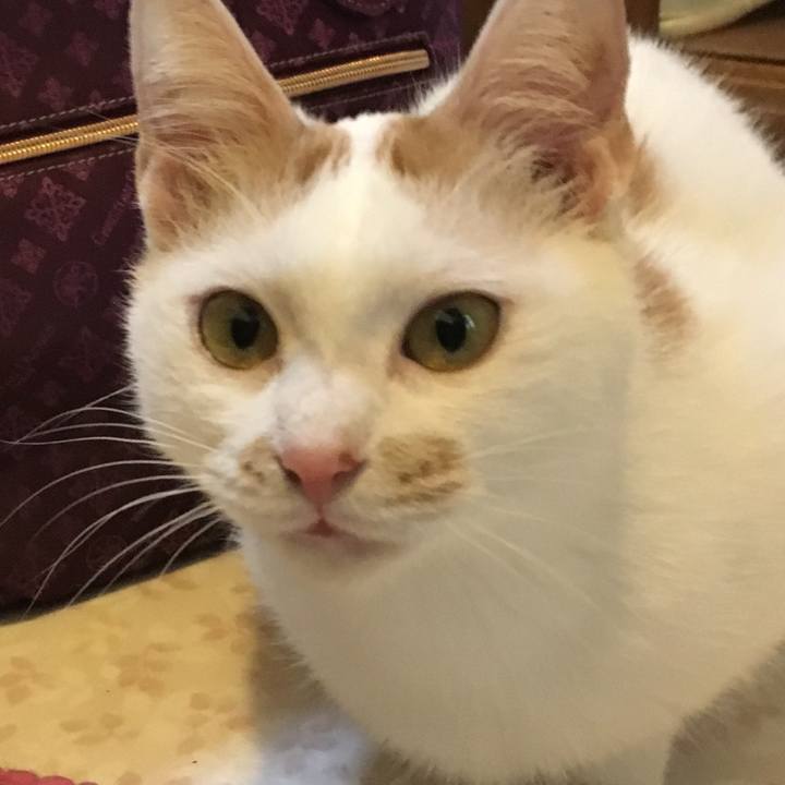 52a9636d ffc9 49d8 8a97 a4bb718db9c8