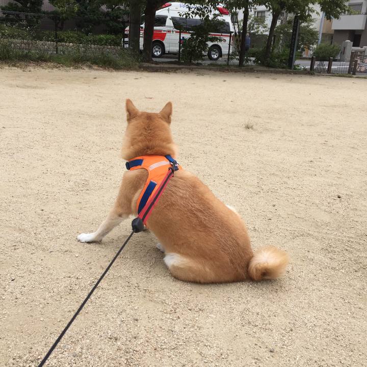 52aa5cd8 3b3f 49e0 98a8 ee82b99cc651