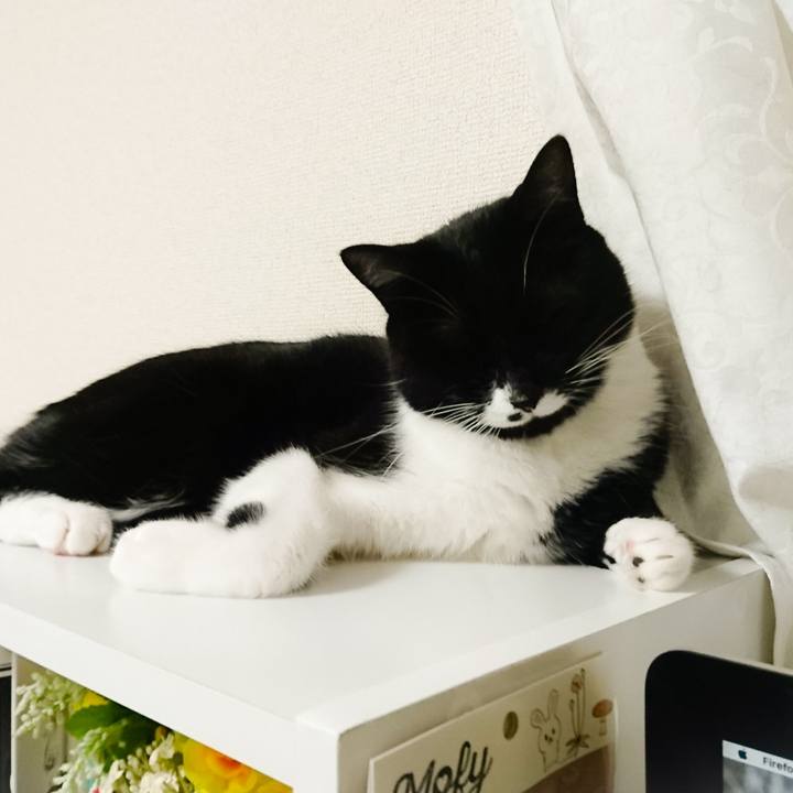 52aaa034 469f 4ff4 a116 13fab0bbd407