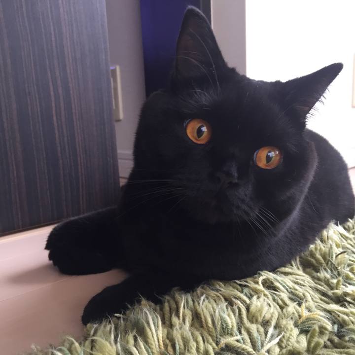 52aaaad7 01d8 4575 a564 2537c57cce68