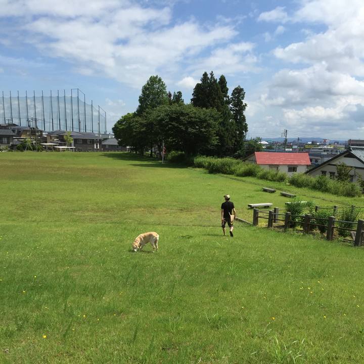 52aaacc1 2549 4f8e b84a e5e376b0341a