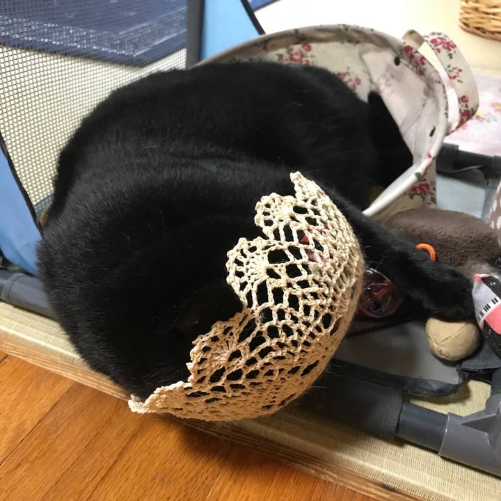 52aad3dc 8dc9 4b81 a7f7 d9cfe6963394