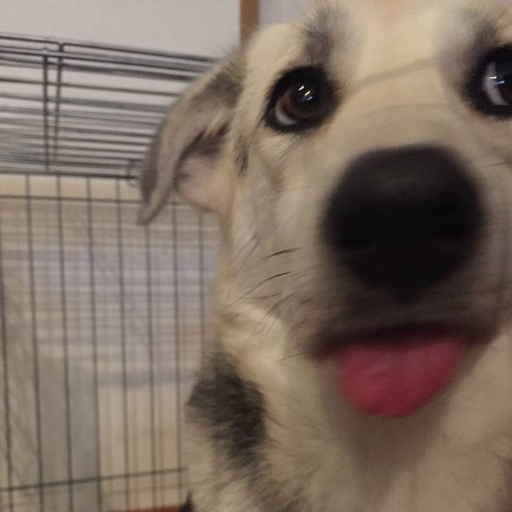 52ab5ad2 74a9 46f6 9e18 1199b77aef4d