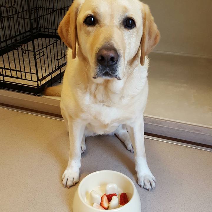 52ab7a52 42cf 4654 a3fe b0d24785352b