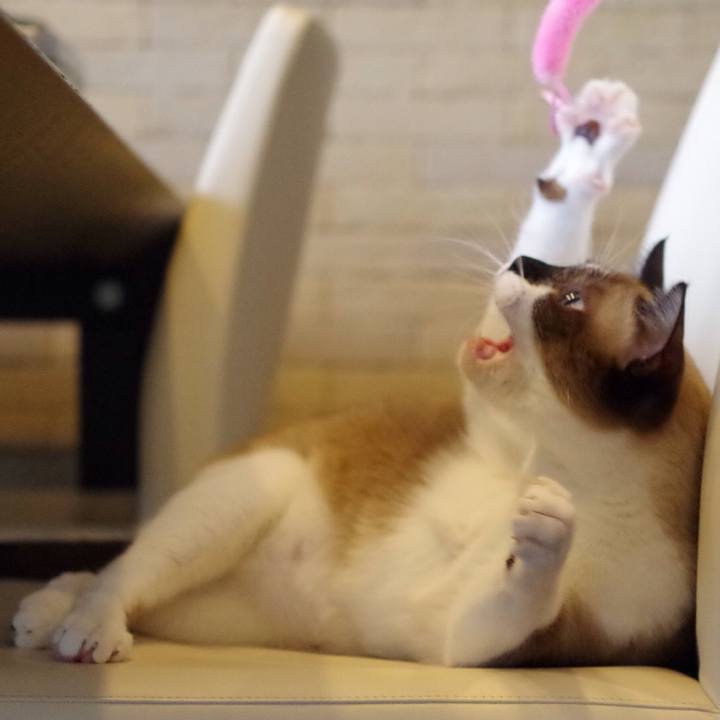 52abe7c8 5a91 4408 8e42 8ed548bd7181