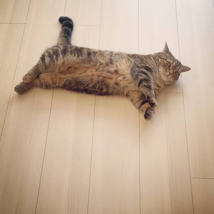 52ac0a14 5feb 45a7 bfbf 3e7ee41084bb