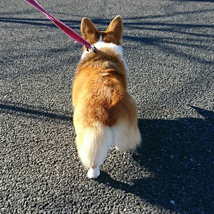 52ac29b0 bfae 4e1d 8e54 e66d9946b503