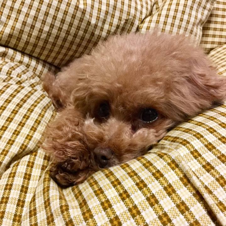 52ac2e4d 818c 4564 8684 e75829a20f06