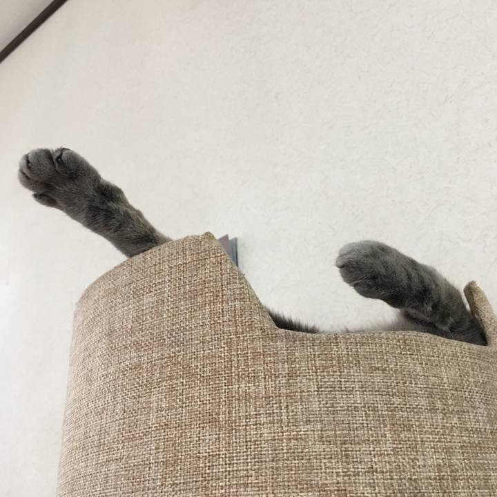 52ac638d 9860 4ddb a582 82f50e771b53