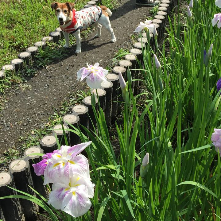 52ac870b 7923 4e98 af6a 2751743fdabe