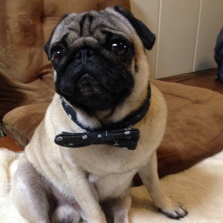 52acea5f 6d6d 43a6 bafd 806959f624b0