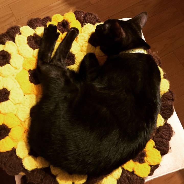 52ad6c68 29f8 4e9a a9d9 38c7e93ed539