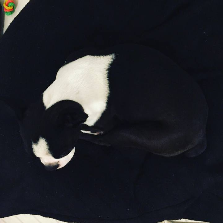 52ad9299 6d24 40ed bfe7 47adad1bb620