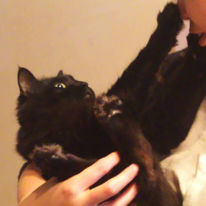 52adc37e d290 4888 a926 20929ec0e4e6