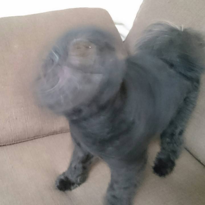 52adcf99 d08e 41e3 a185 976536f41f83