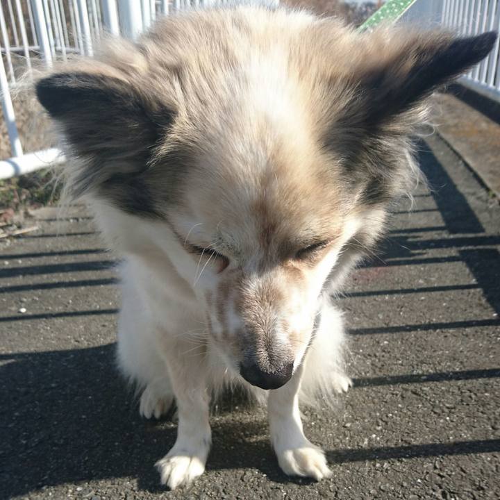 52ae64e6 155d 4191 ab42 a716386028a3