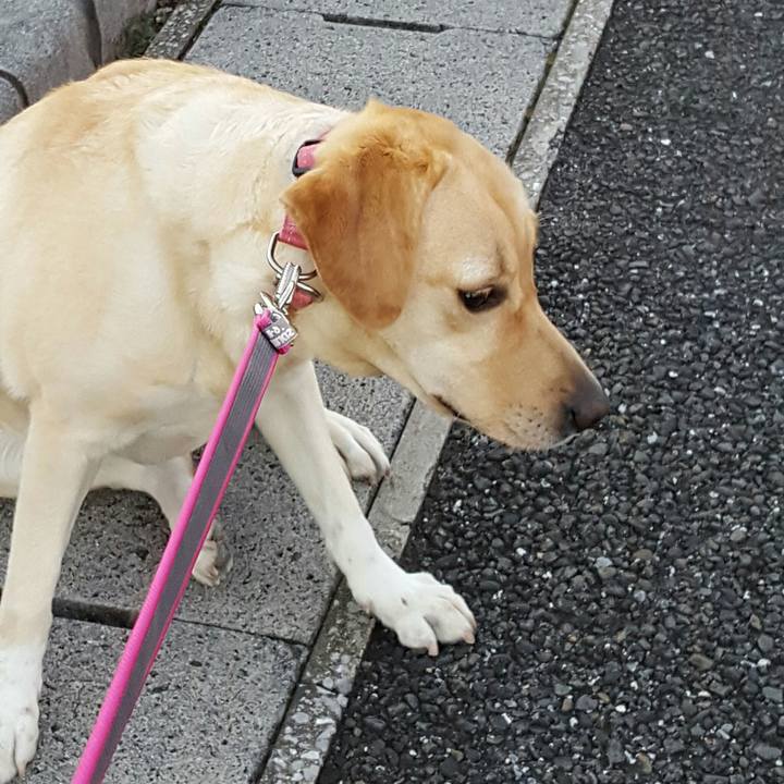 52ae8629 778a 4e47 9fa8 c0806f14d9eb