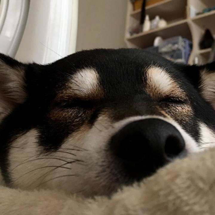 52aed066 75da 40d4 b3fd edf61f883a27