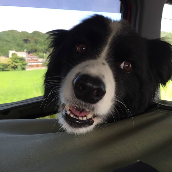 52af47e0 d8eb 4d36 a6cc be86b3cf3ca6