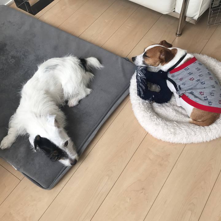 52af60ff 7969 4c32 a1f1 3c4b1ec1c50e