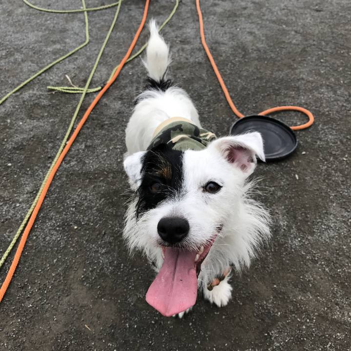 52b00a5e 15a5 451c bf4d b1971c4108a4