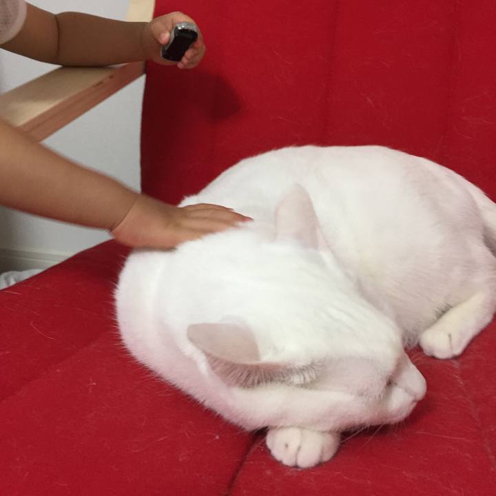 52b030ec 0809 40dc 941a 4c7f18da7ffa