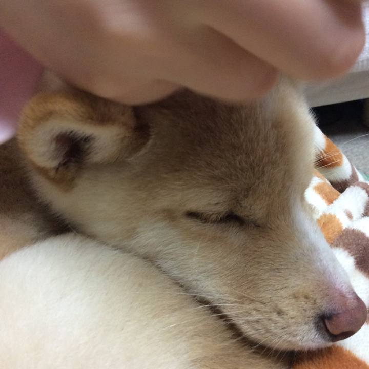 52b04484 808f 4f26 b877 c73859028dcb