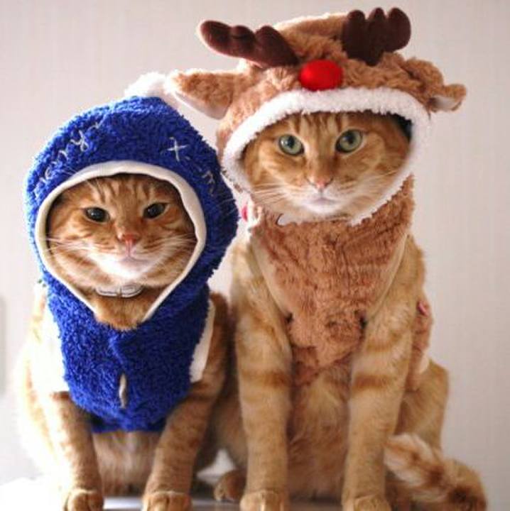 52b05ad3 900d 4d4c 8fd0 87bcfa4fae1d