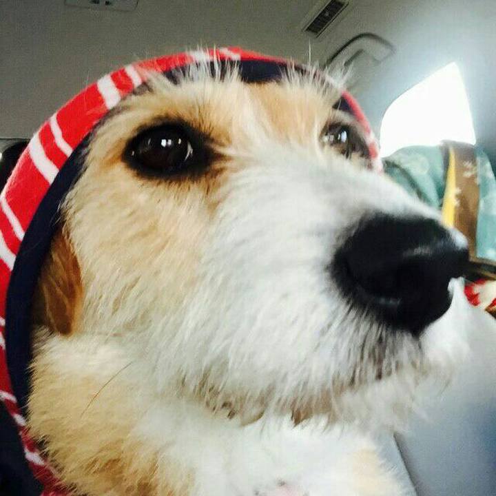 52b0d843 9c54 4f09 9c2d 30e0ac2337bd