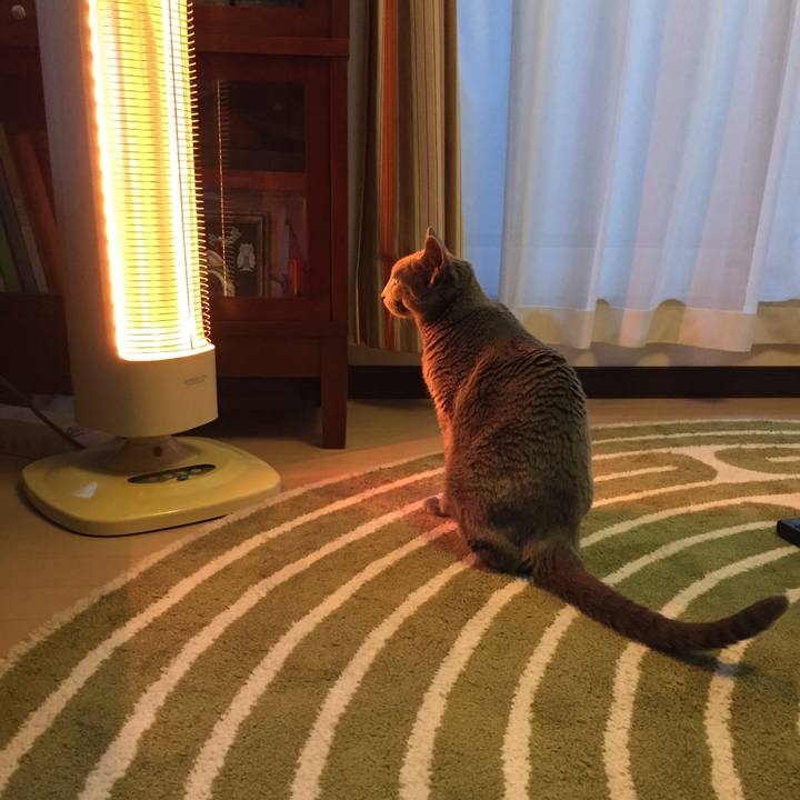 52b164fd 0faf 4c8c a593 b9a0cd64e4c3