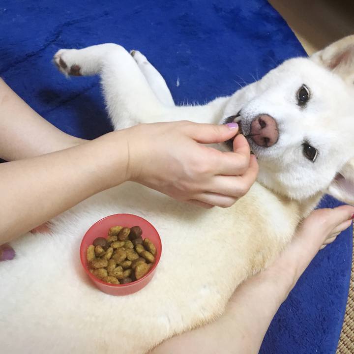 52b2703e a223 4387 a908 134a8a5fd8c0