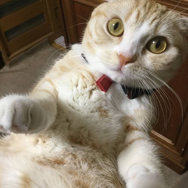 52b2d1c7 d1b8 477b 9319 22ab040071cf