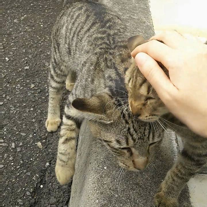 52b3193a e0b4 46e9 b4a0 20f5b7f29d50