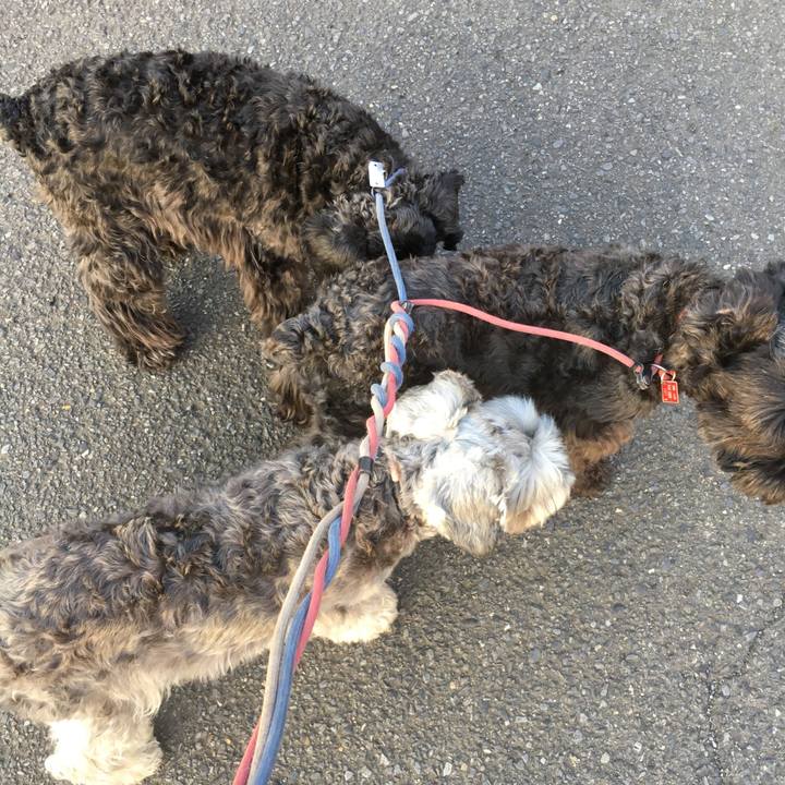 52b33f43 6284 4127 9787 ffe587ae4807