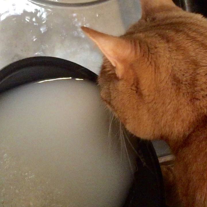 52b3b7b8 477d 48d1 9b59 895e18a22eb4