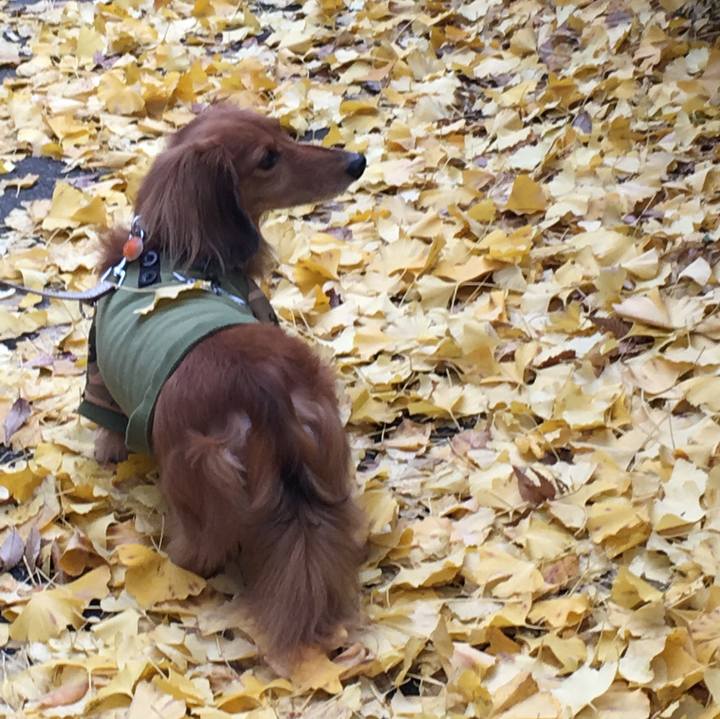 52b3ec84 b541 4639 9f65 7b8175abed7d