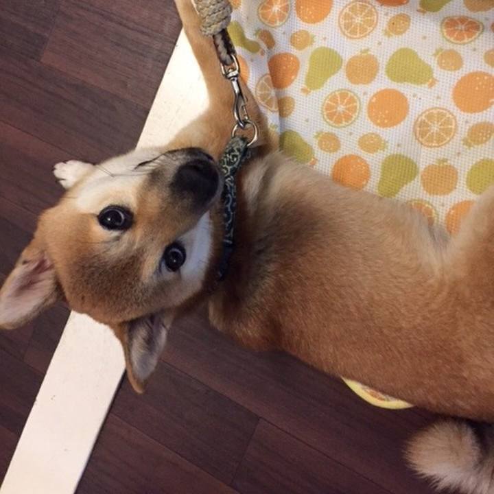 52b45055 3a44 4320 a752 0daf61a871e3